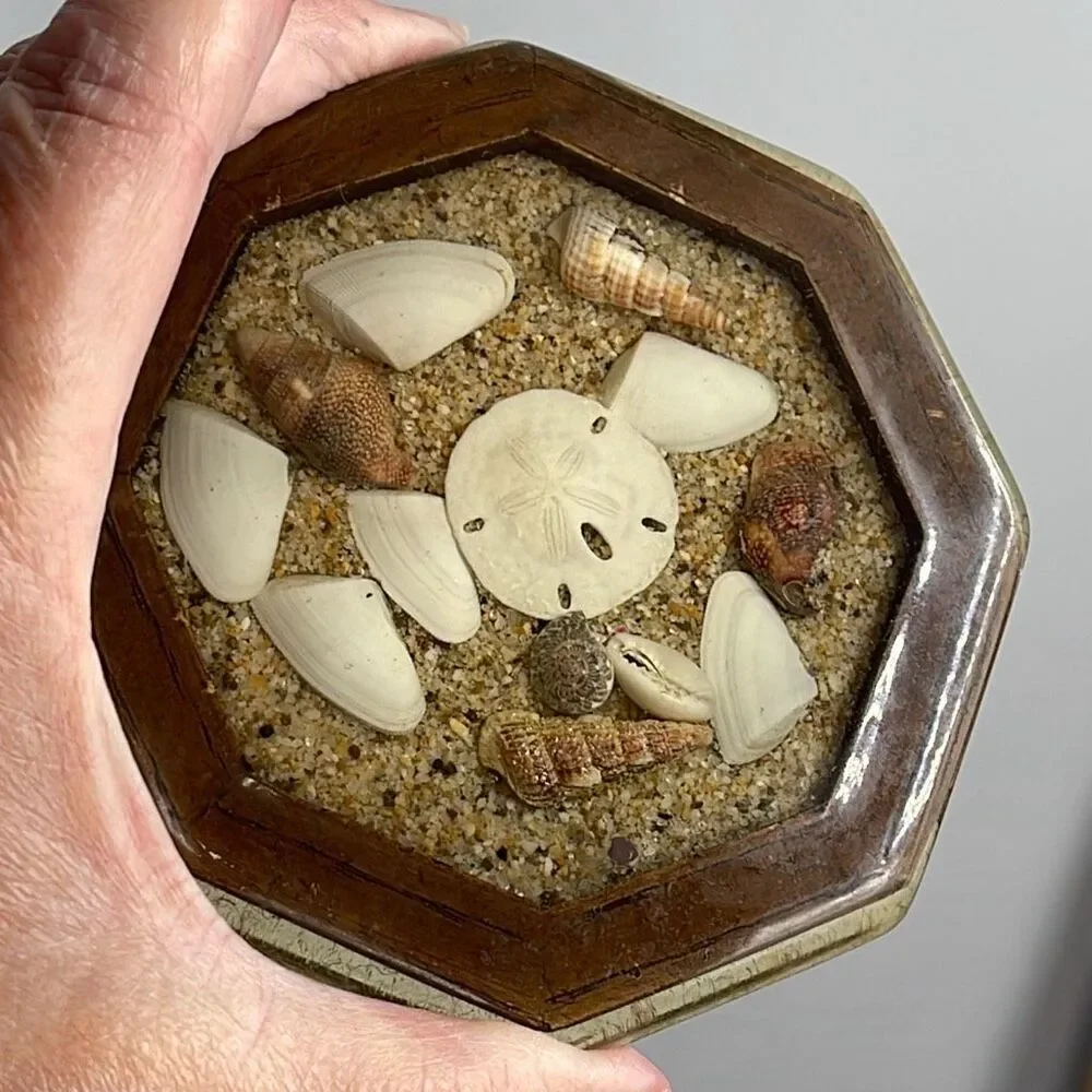 Handcrafted Sea Shell and sand epoxy wood trinket box.
